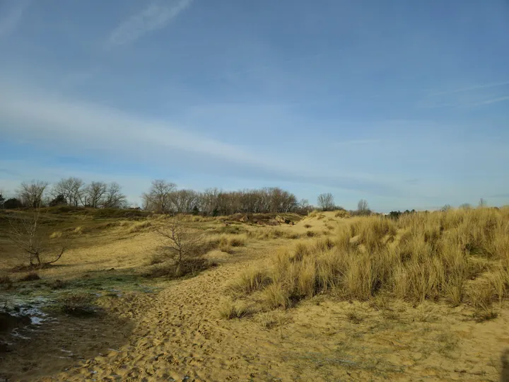 Oostnieuwkerke duinen wandeling in de koude (België)